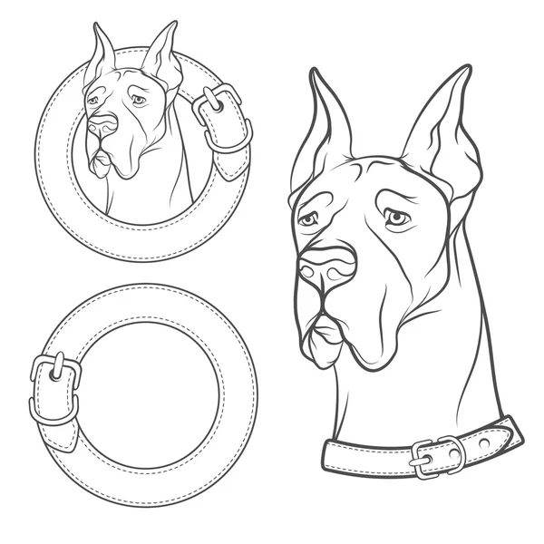 Un insieme di disegno vettoriale del cane nel collare . — Vettoriale Stock
