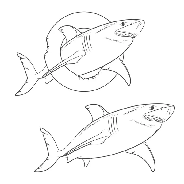 벡터는 끔찍한 상어의 드로잉. — 스톡 벡터