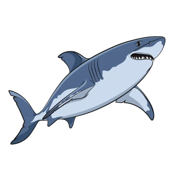 Dessin vectoriel d'un grand requin blanc . — Image vectorielle