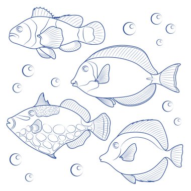 Tropik resif balık topluluğu.