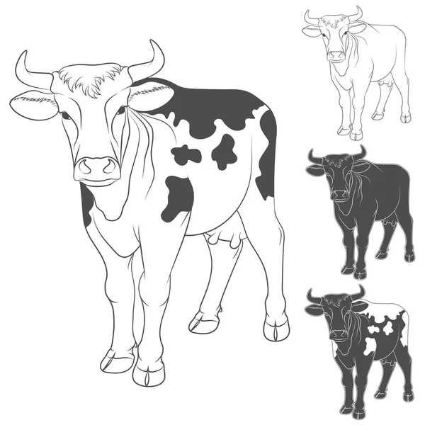 牛ベクトル黒と白. — ストックベクタ