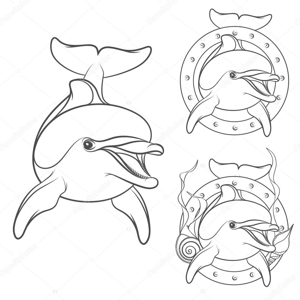 Set of dolphin logo design element. Isolated vector objects on a white background.