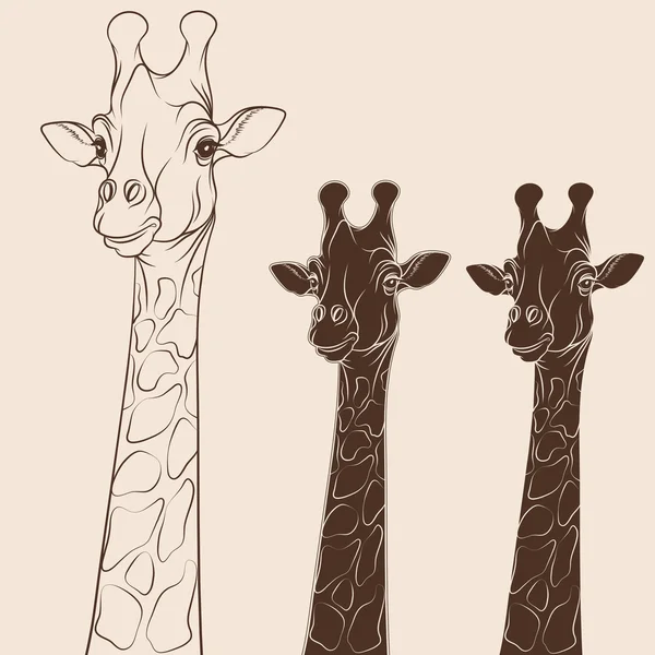 Vector illustratie hoofd van een giraffe. Geïsoleerde objecten op wit — Stockvector