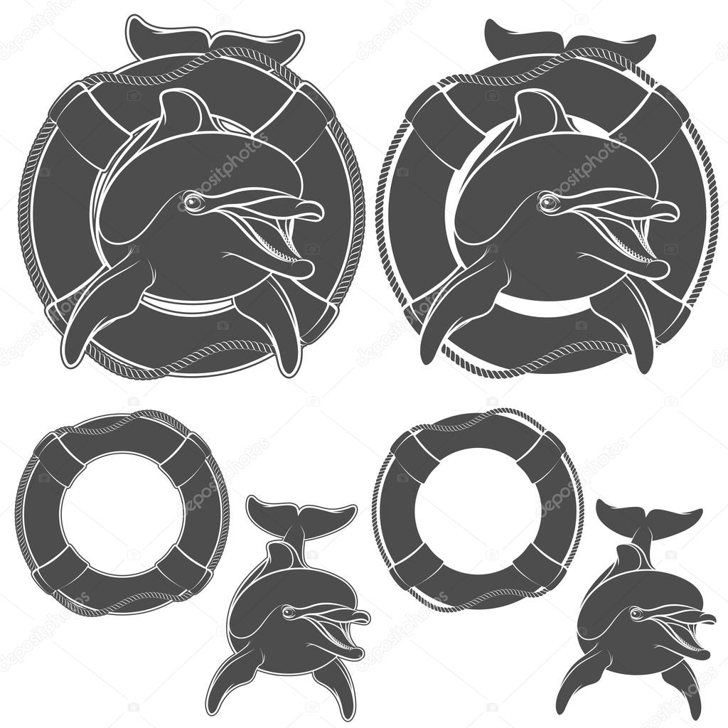 Set of dolphin logo design element. Vector