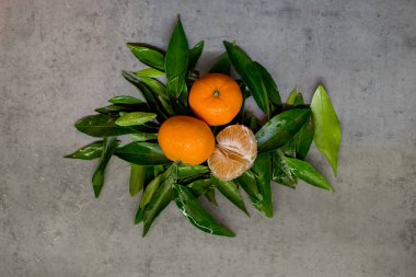 Yapraklara yerleştirilmiş üç portakal. Bir meyve soyuluyor ve bölümler gösteriliyor. Altındaki gri yüzey ıslak. Üst görünüm narenciye ile basit bir düzen ve sakin tatil ortamında düzenlenmiş yaprakları gösterir.