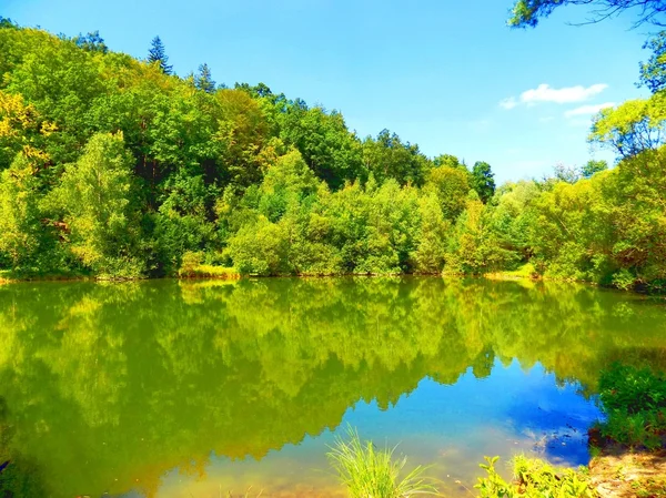 Lake with reflection and deciduous forest in wild nature during beautiful sunny day — Stock Photo, Image