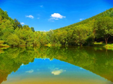 Yansıma ve güzel güneşli gün boyunca vahşi doğada yaprak döken orman ile göl