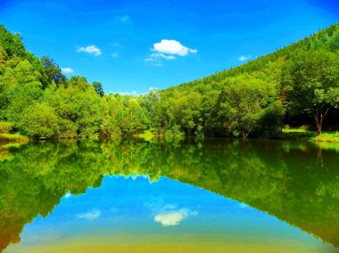 Yansıma ve güzel güneşli gün boyunca vahşi doğada yaprak döken orman ile göl