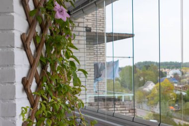interior of balcony with large windows and a plant on the wall