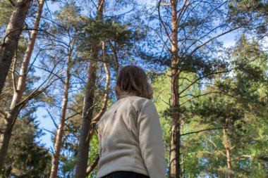 a woman looks at a beautiful pine forest on a sunny day. spring. bottom-up view
