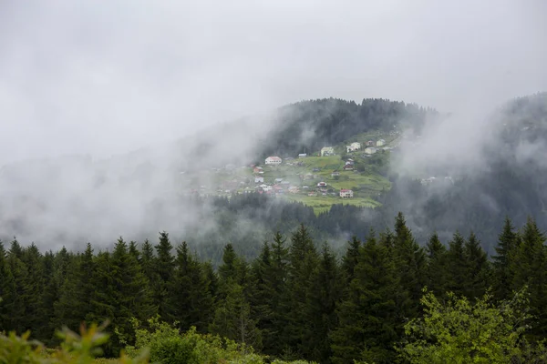 Foggy Plateau Highland Giresun Turkey — Stock Photo, Image