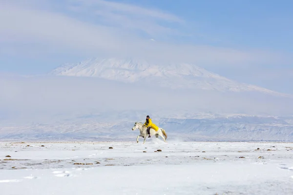 Dogubeyazit Agri January 2020 Ararat Agri Mountain 137 Blue Sky — 스톡 사진