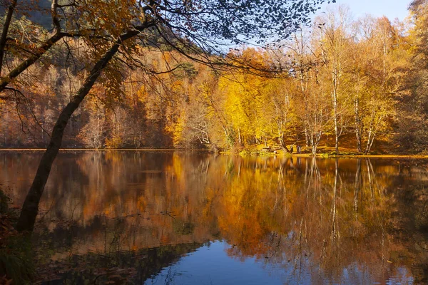 Die Schönsten Farben Des Herbstes Türkei — Stockfoto