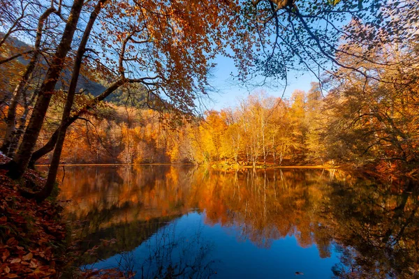 Najpiękniejsze Kolory Jesieni Turcja — Zdjęcie stockowe