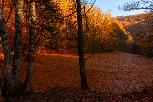 Najpiękniejsze Kolory Jesieni Turcja — Zdjęcie stockowe