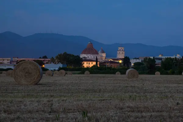 Piazza Miracoli Pisa Photographed Straw Field — 스톡 사진