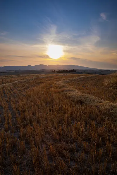 Sugestiva Puesta Sol Campo Paja Verano Italia — Foto de Stock