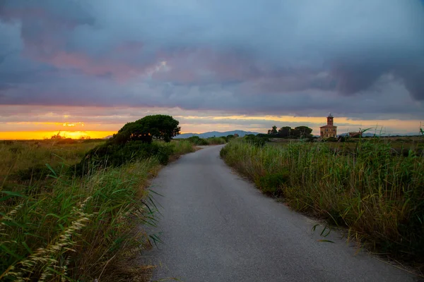 Estrada Asfalto Parque Toscana Maremma Fundo Pôr Sol — Fotografia de Stock