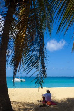 Egzotik ülkelerde tatil. Büyük bir palmiye ağacının altında beyaz bir yata bakan bir adam.