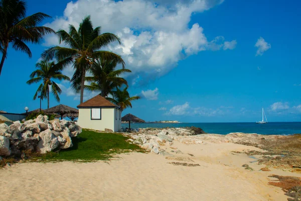 Небольшой Белый Дом Пляже Острове Карибского Моря Пальмы Желтый Песок — стоковое фото