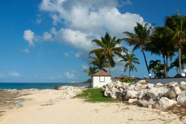 Небольшой Белый Дом Пляже Острове Карибского Моря Пальмы Желтый Песок — стоковое фото