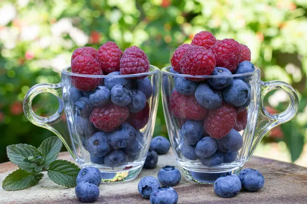 Raspberries Blueberries Transparent Cups Garden — Stock Photo, Image
