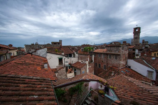 Högst Upp Den Historiska Stadskärnan Den Italienska Staden Lucca Hushustak — Stockfoto