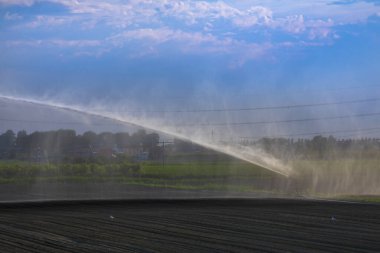 İtalya 'da sulama tesisi yazın tarlaları suluyor