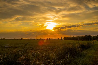 Yazın bir tarlada gün batımı.