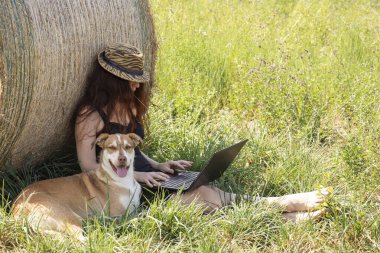 Samanlığın yanında kızıl saçlı bir kadın köpeğinin yanında dizüstü bilgisayarla çalışıyor.