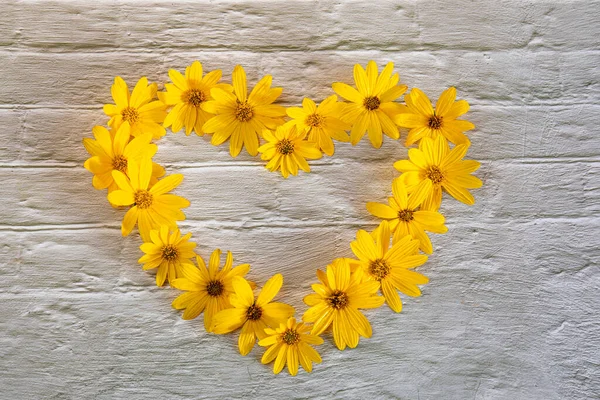 Žluté Květy Jsou Lemovány Tvaru Srdce Bílém Cihlovém Pozadí Láska — Stock fotografie