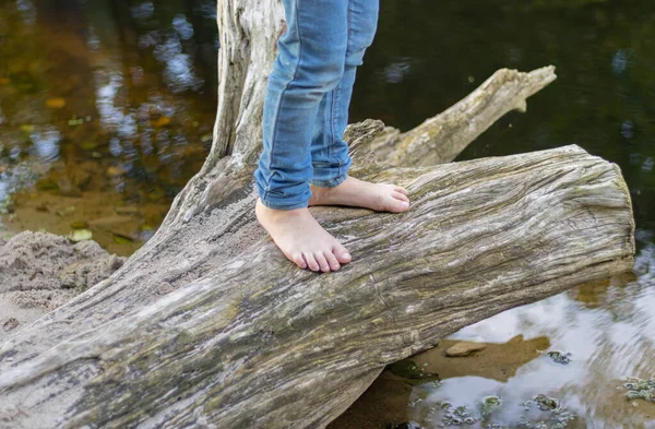 Girl's bare feet in jeans stand on the driftwood against river background