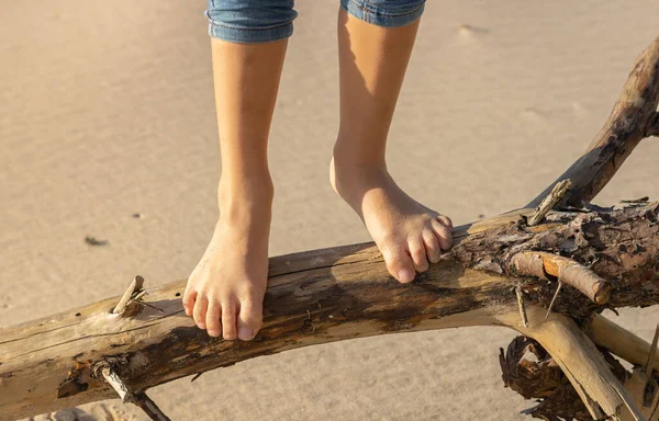 Die Nackten Füße Des Kleinen Mädchens Stehen Auf Dem Treibholz — Stockfoto