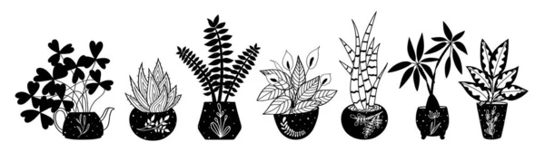 Krukväxter Hemma Växter Handritade Klotter Illustration Vektorbeståndet Stockillustration