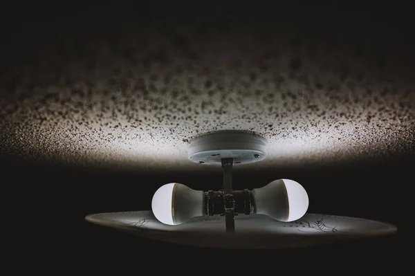 LED lamba armatürü ve cam kaplamalı patlamış mısır desenli tavan.