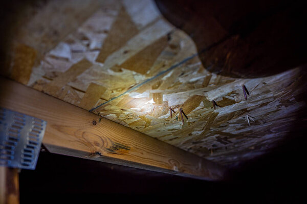 roofing nails protruding through plywood ceiling in attic