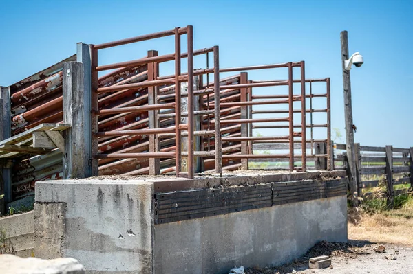 Calha de gado elevada em metal na zona rural Centro-Oeste — Fotografia de Stock