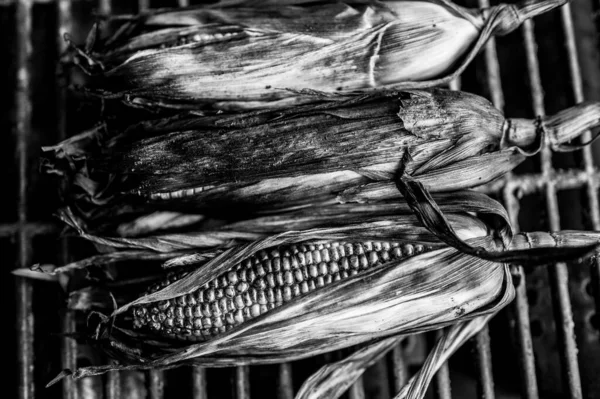 Lekko zwęglona kukurydza cukrowa na kolbie z łupiną na ruszcie grilla — Zdjęcie stockowe