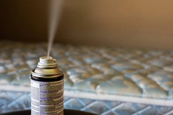 Böcek ilacı aerosol üzerine seçici bir odak noktası tahtakurularını, örümcekleri, böcekleri, sinekleri ve pireleri öldürmek için kullanılan sis bulutu.