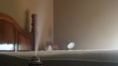 Böcek ilacı aerosol üzerine seçici bir odak noktası tahtakurularını, örümcekleri, böcekleri, sinekleri ve pireleri öldürmek için kullanılan sis bulutu.