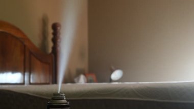 Böcek ilacı aerosol üzerine seçici bir odak noktası tahtakurularını, örümcekleri, böcekleri, sinekleri ve pireleri öldürmek için kullanılan sis bulutu.