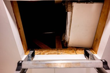 Bir tavan arasına açılan merdivende dinleniyor.