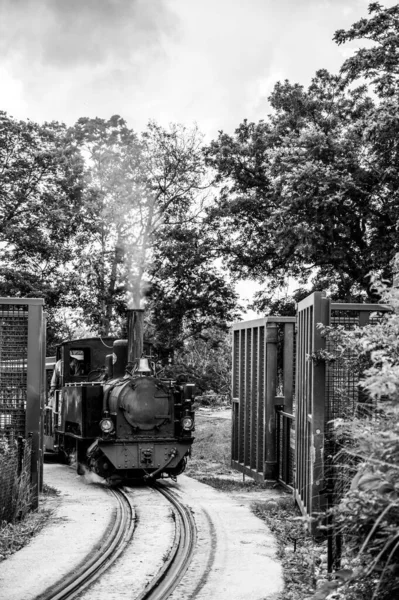 Omaha, Nebraska, USA : 6-2021 : Locomotive à vapeur utilisée pour visiter le zoo et l'aquarium Henry Doorly — Photo