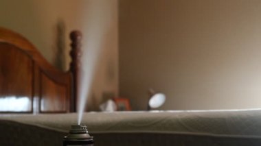 Böcek ilacı aerosol üzerine seçici bir odak noktası tahtakurularını, örümcekleri, böcekleri, sinekleri ve pireleri öldürmek için kullanılan sis bulutu.
