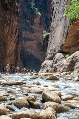 Visitors trek through the stunning Narrows of Zion National Park, wading through the Virgin River surrounded by towering canyon walls under a bright midday sky.