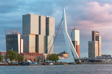 Şehir merkezindeki Rotterdam silueti