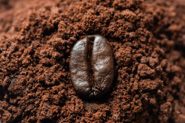 Koffieboon op gemalen koffie close-up uitzicht — Stockfoto