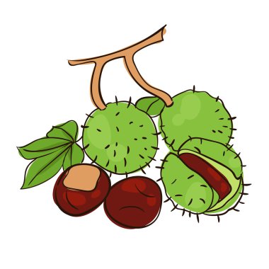 kestane 
