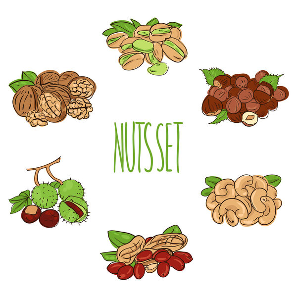 nuts 1