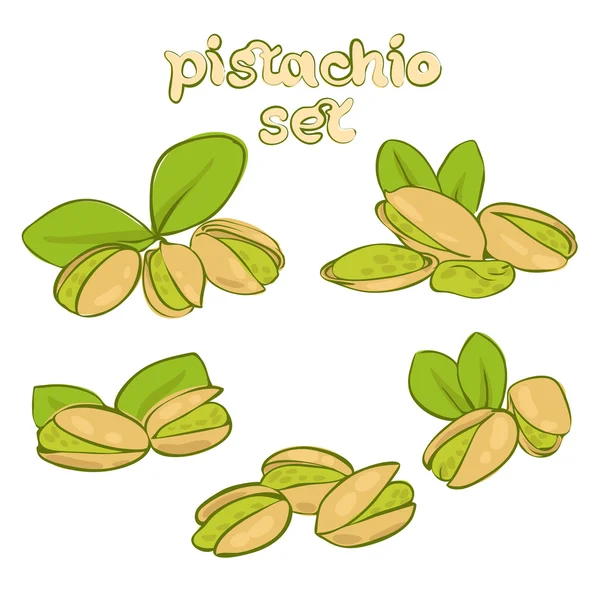 Pistache — Image vectorielle